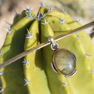 LAST CHANCE! CLOSING 3PM PST!